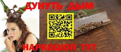 сатива Кингисепп