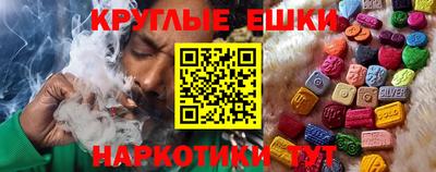 сатива Кингисепп