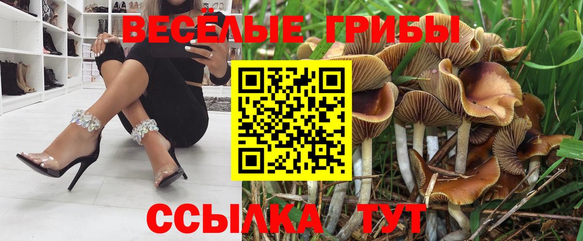 Галлюциногенные грибы ЛСД  хочу   Холмск  Вход с VPN  Галлюциногенные грибы Cubensis 